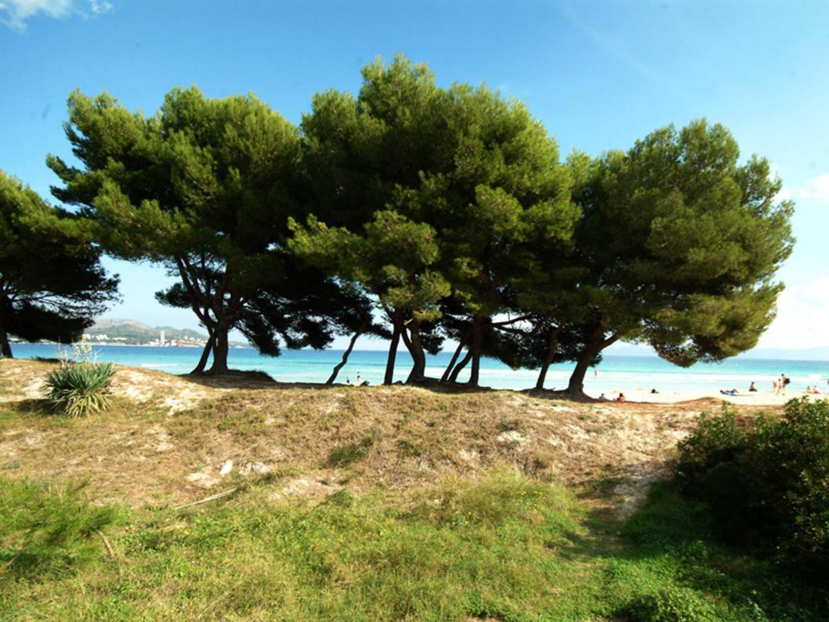 Apartment Countess Attic 2-3, Sun Of The Bay Vidalba 3, At Alcudia (Mallorca)